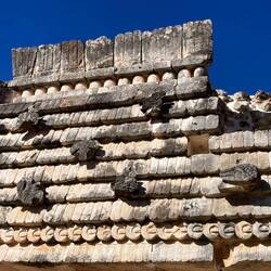 Schildkrötenhaus - extra für Leo und Jakob fotografiert.