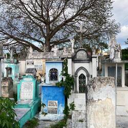 Und manche sind so schön gepflegt.