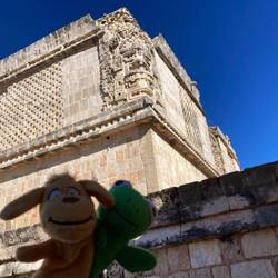 Im Hintergrund das Muster der Klapperschlange.