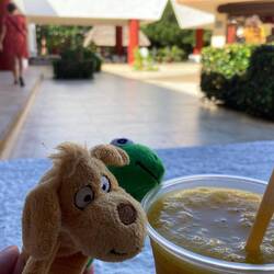 Maracujashake- so lecker!