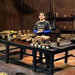 Kakao - Herstellung und Verkostung.