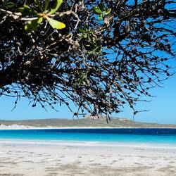 Hypnotisches Türkis!