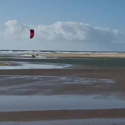 Wenn man sie filmt, sind sie besonders ehrgeizig. 🤗