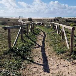 Die Wellen schauen wir uns natürlich genauer an. 🥰