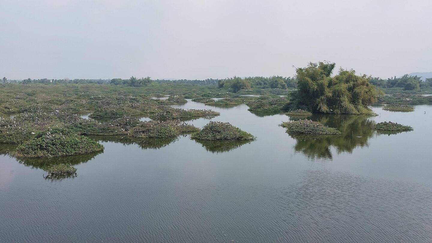 Vedanthangal Bird Sanctuary