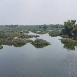 Vedanthangal Bird Sanctuary