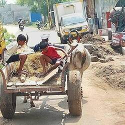 En route to the main road