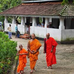 Drei Mönche kamen uns vom Tempel entgegen 🇱🇰