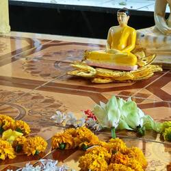 ...sowie Blumen zu Ehren Buddhas 😇