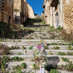 Bei den Blumen hab ich Schiss bekommen. Zuviele Horrorfilme 😂