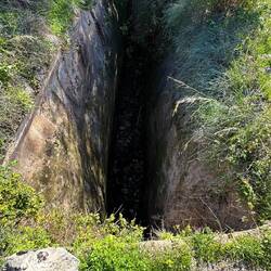 Wilder Graben mitten zwischen den Büschen!