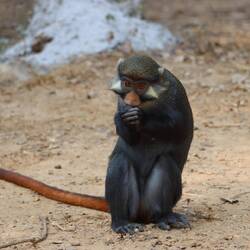 Im Nationalpark Afi Mountains