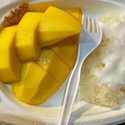 Mango Sticky Rice