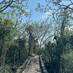Auf dem Weg zum "Playa Tortuga Bay"