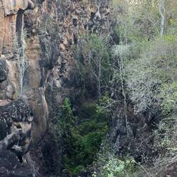Auf dem Rückweg vom "Playa Tortuga Bay"
