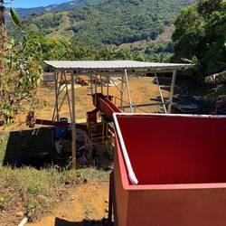 Här torkar man kaffet på traditionellt vis med hjälp av solen.