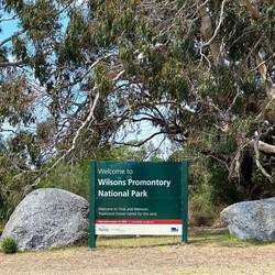 Byebye, es war traumhaft schön 😻