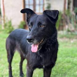 Das ist meine Freundin Negra