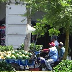 Lautstark werden die Waren angeboten.