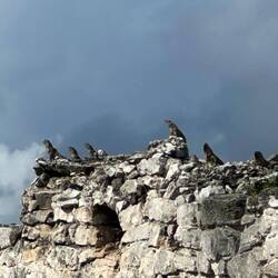 Jede Menge neuer Freunde.