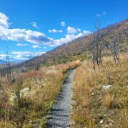 Am letzten Tag schlängelten wir uns statt am See am Berg entlang