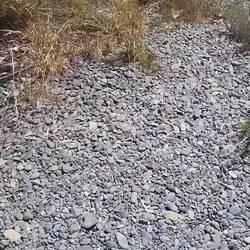 Der Wind sorgte allerdings nicht für Lake- sondern eher für Meer-Feelings