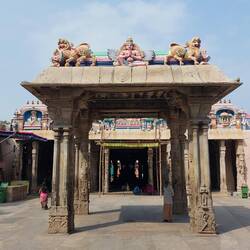 Structure inside the inner complex