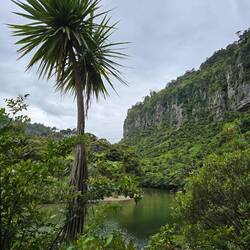 Wir laufen ein Stück auf dem Te Ara o Paparoa (Paparoa Track)