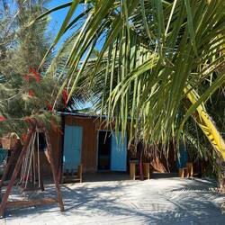 Hütte, Palme und Meer
