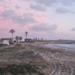 Und da ist der Zirkus