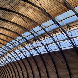 The roof of Newcastle Central Station on Vicky's return