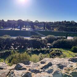 Blick auf Circus Maximus