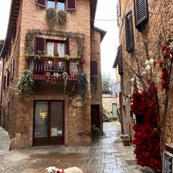 Und wir haben uns mit guten Pecorino Käse aus der Region eingedeckt