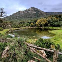 Blick auf Lagune und Picacho