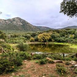 Blick auf den Picacho