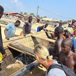 Den Hai haben wir nicht gekauft...