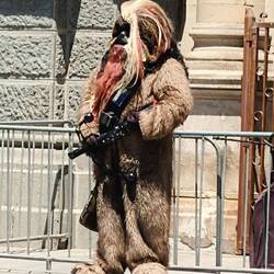 Chew bakka watching the protesters