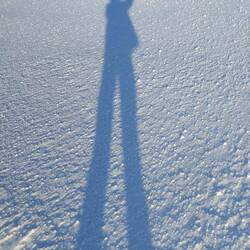 De grandes échasses