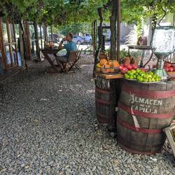 Lunch @ the winery