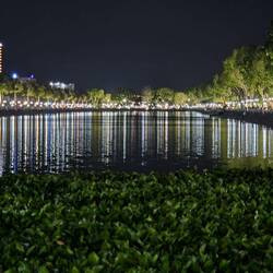 My Tho by night