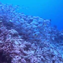 Water clarity was excellent