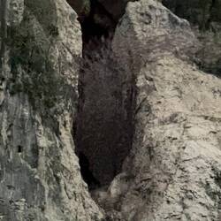 Da sind Fledermäuse