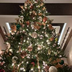 Merry Christmas 2025