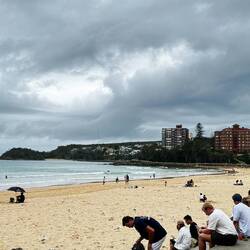 Manly Beach