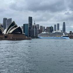 Coming back into Circular Quay