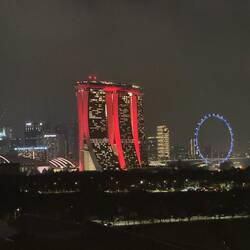 An der Skyline von Singapur kann man sich nicht sattsehen 😍