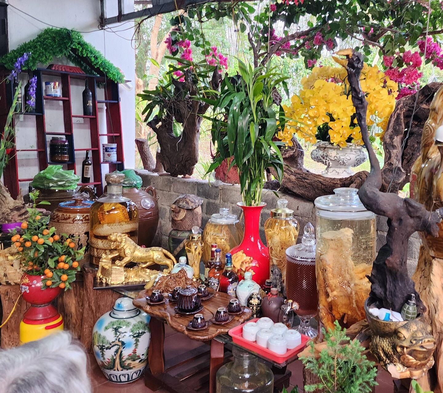 Amazing family farm visit!