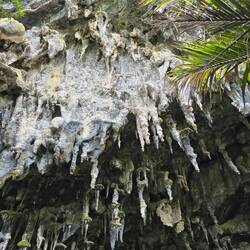 Ich bin - mal wieder - restlos begeistert