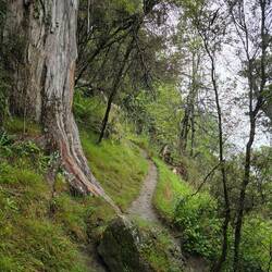Und der Rückweg wird zur Rutschpartie... 😂🙈