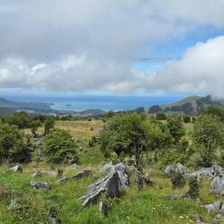 Ausblick vom Takaka Hill